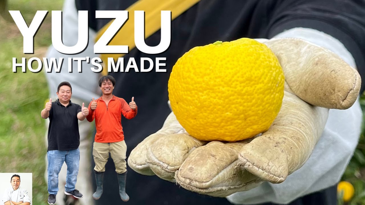 How It's Made: Fresh Yuzu Juice From My Home Town
