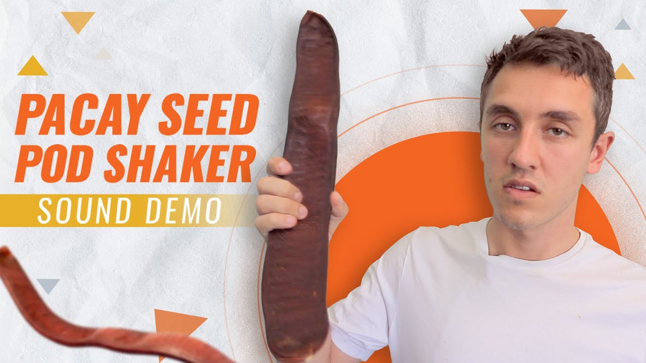Pacay Seed Pod Shaker (Sound Demo)