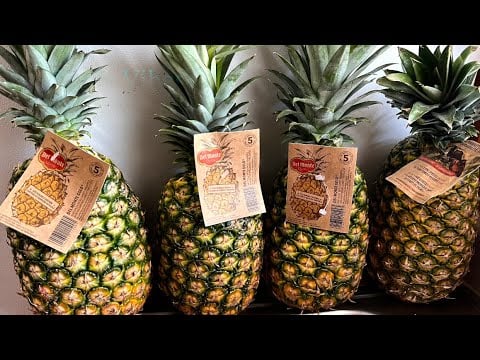 How To Preserve Tons Of Pineapples During Rainy Days | Storing Fresh Pineapple | Pineapple Recipe
