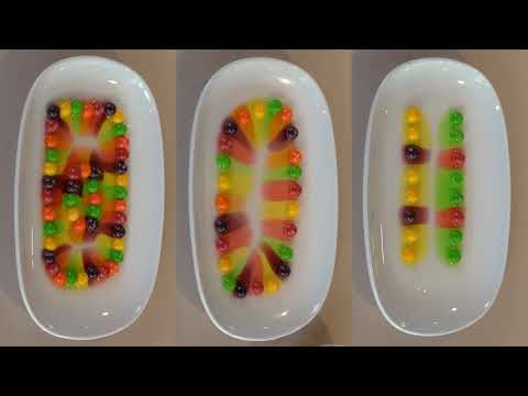 Food Science with Chef Renee: Skittle Experiment