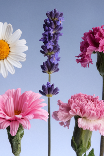5 Edible Flower Garnishes for Desserts