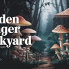 Deadly Risks of Eating Wild Mushrooms in Australia