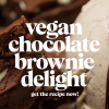 Ben & Jerry’s Vegan Chocolate Brownie Delight