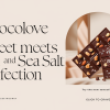 Chocolove Debuts New Nut and Sea Salt Bars