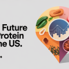 US Protein Market: Growth, Trends, and Future Opportunities