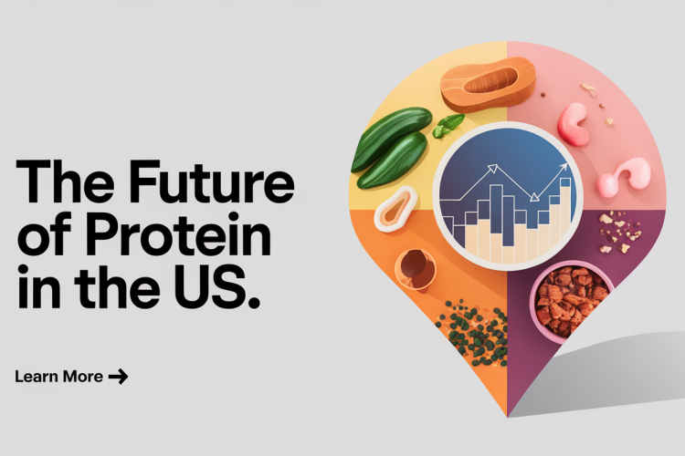 US Protein Market: Growth, Trends, and Future Opportunities