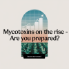 Climate Change Fuels Rising Mycotoxin Risks