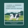 Elanco and Medgene Launch HPAI Dairy Cattle Vaccine