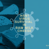 H5N1 Virus Survival in Raw Milk Cheese