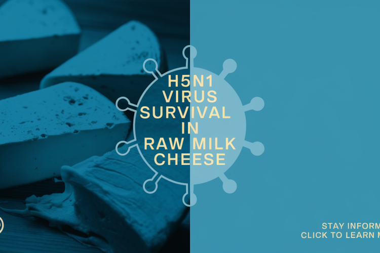 H5N1 Virus Survival in Raw Milk Cheese