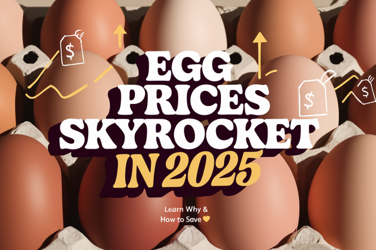 Food Prices Rise as Egg Costs Soar in 2025
