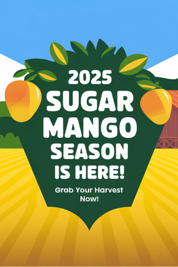 Goldenberry Farms Launches 2025 Sugar Mango Season