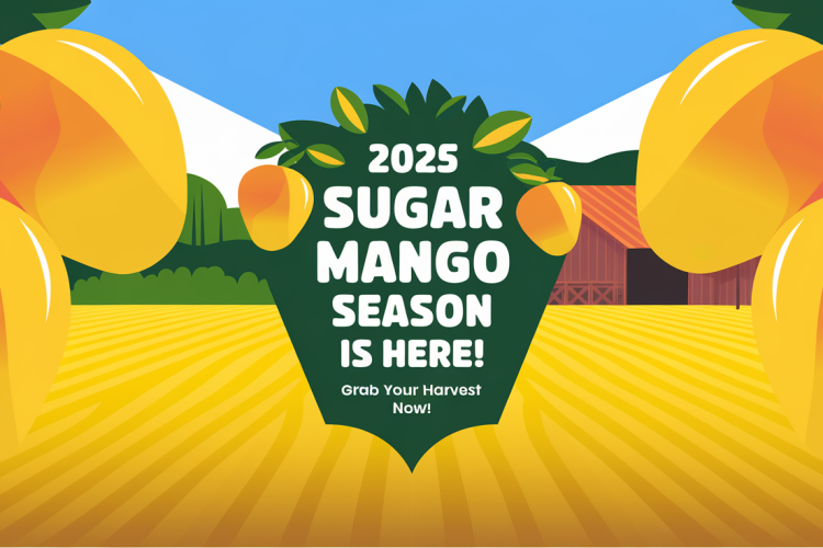 Goldenberry Farms Launches 2025 Sugar Mango Season
