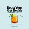 Halfday’s Prebiotic Iced Tea Boosts Gut Health