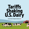 U.S. Dairy Industry Faces Tariff Challenges