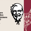 KFC Faces Protests Over Frankenchickens Welfare Concerns