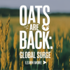 Global Oat Production Rebounds in 2024