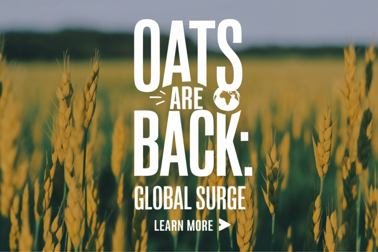 Global Oat Production Rebounds in 2024
