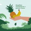 Rainforest Alliance Simplifies Sustainable Agriculture Standard