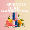 Red Bull Grapefruit Blossom Spring Edition Hits Stores