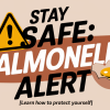 Salmonella Outbreak Linked to Contaminated Eggs in Belgium