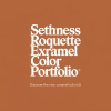 Sethness Roquette Expands Caramel Color Portfolio