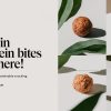 Solein Protein Bites Launch in the US