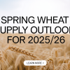 Spring Wheat Supply Outlook for 2025/26