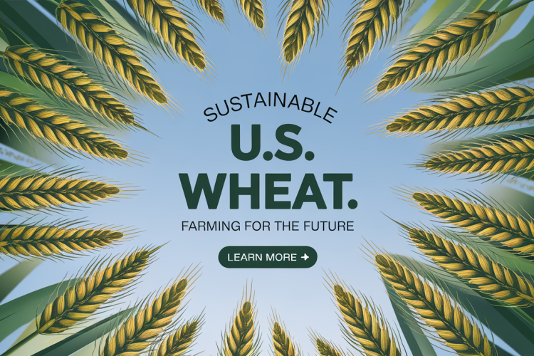 U.S. Wheat Production Achieves Major Sustainability Gains