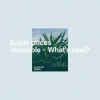 Sugar Prices Volatile Amid Global Supply Shifts