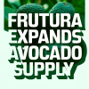Frutura Acquires Montana Fruits to Boost Avocado Supply