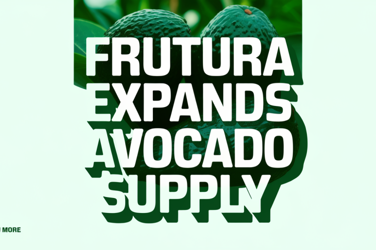Frutura Acquires Montana Fruits to Boost Avocado Supply