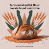 Fermented Millet Flour Boosts Bread Nutrition