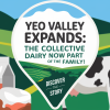 Yeo Valley Acquires The Collective Dairy Brand