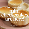 Sara Lee Launches Mini Cheesecakes Nationwide